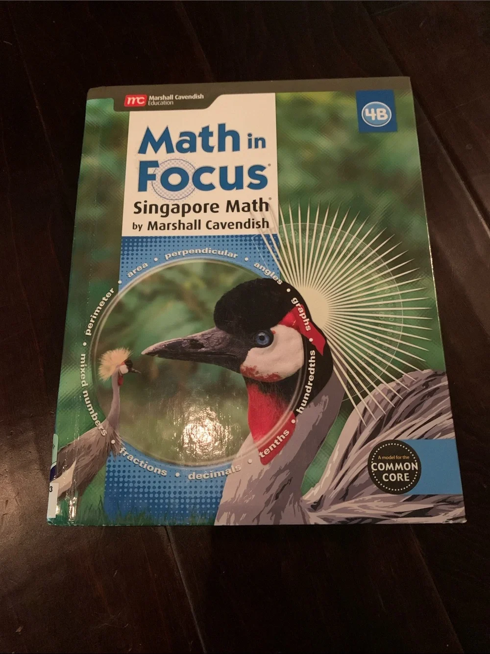 Math in Focus Singapore Math 4B Student Book